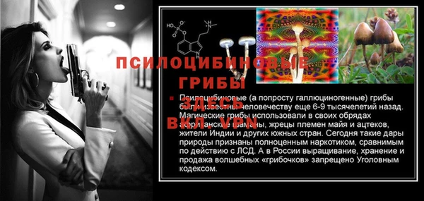 дмт Володарск